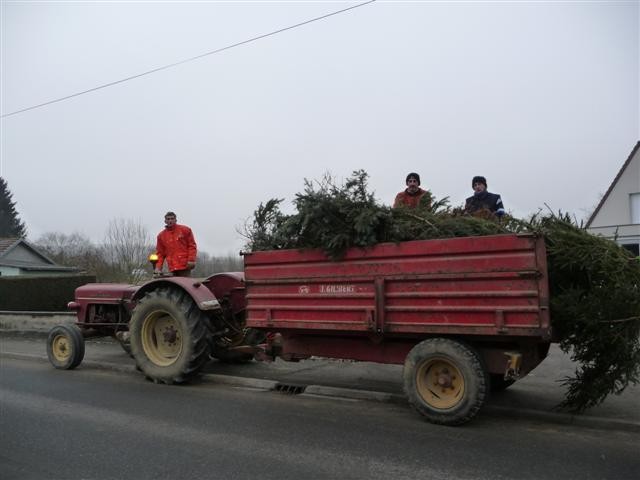 Crémation des sapins Crémation des sapins