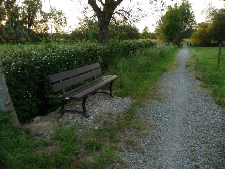 Des nouveaux bancs-1 Des nouveaux bancs
