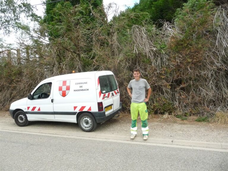 Job d'été