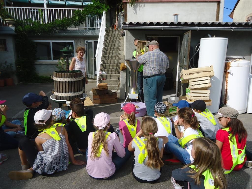 Leçon « jus de pomme » pour les écoliers Leçon « jus de pomme » pour les écoliers