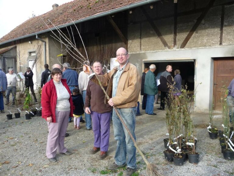 Les arbres de la Sainte Catherine - 2012 Les arbres de la Sainte Catherine - 2012