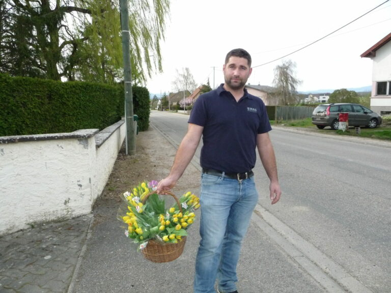 Vente de tulipes Vente de tulipes