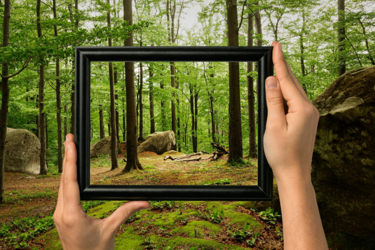 Visites virtuelles
